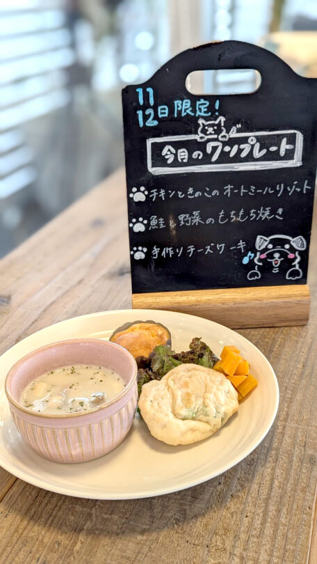 9月　cotecafe わんこの日