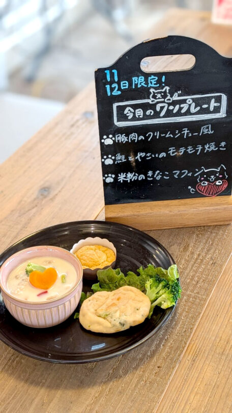 コテカフェ　わんこの日　わんこ用ランチ