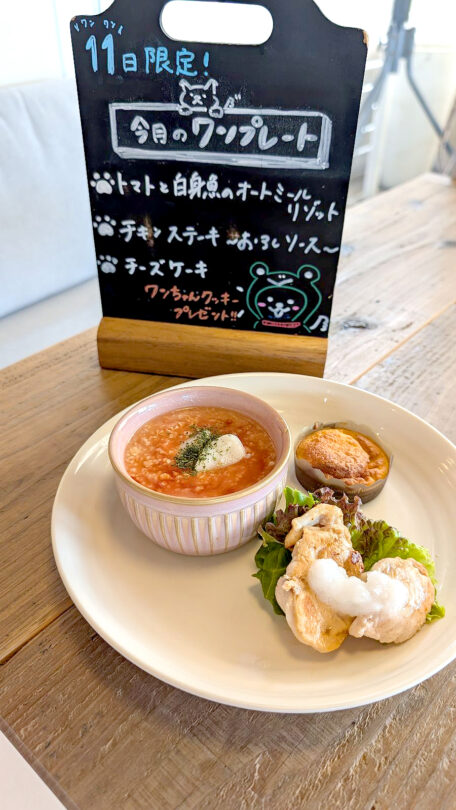 コテカフェ　わんこの日
