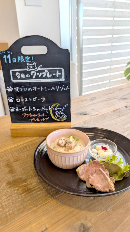 わんこOK 千葉のコテカフェ　9月わんこの日