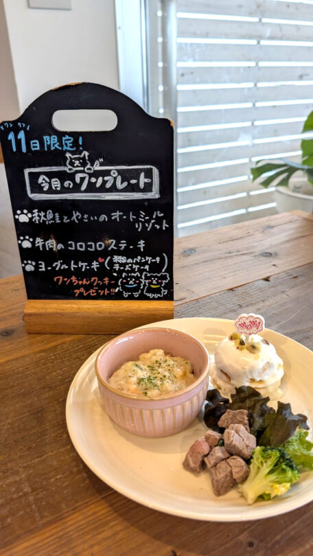 コテカフェ わんこの日 ワンプレート