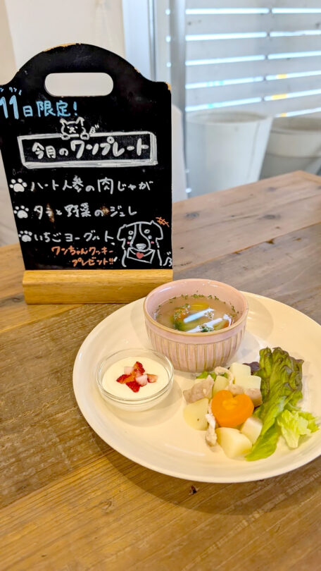 コテカフェ　わんこの日　2月