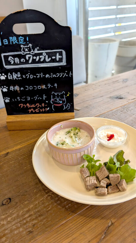 コテカフェ　わんこの日　白身魚とブロッコリーのミルクリゾット