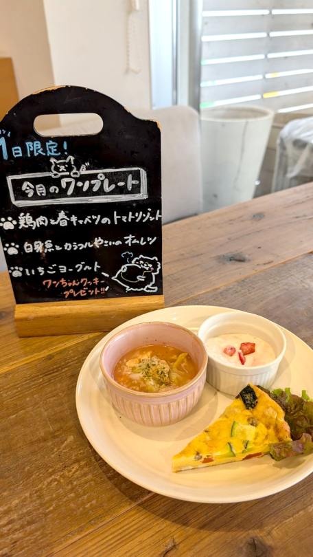 コテカフェ　わんこの日　鶏肉と春キャベツのトマトリゾット