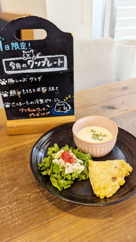 コテカフェ わんこの日 豚しゃぶサラダ
