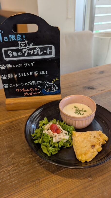 コテカフェ　わんこの日　豚しゃぶサラダ
